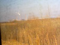 Imagine atasata: 17032013203_900x675.jpg
